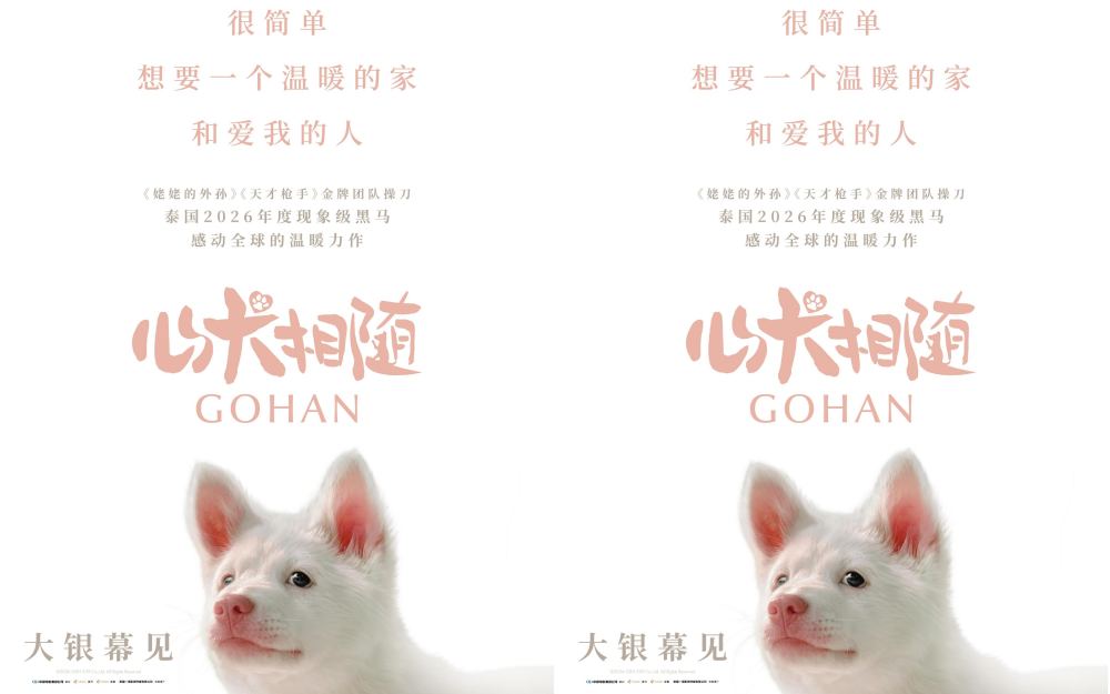 泰国年度票冠《心犬相随》引进内地 粉红桃心鼻小白狗萌翻大银幕