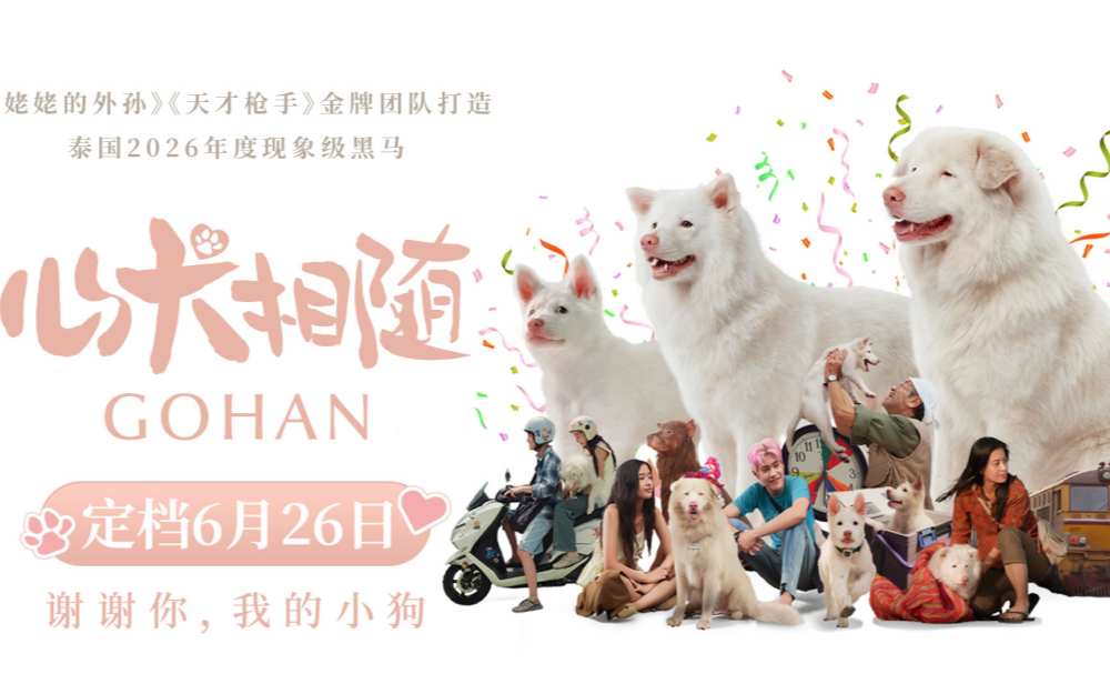 泰国票房爆款电影《心犬相随》定档6月26日 温暖治愈感动全球